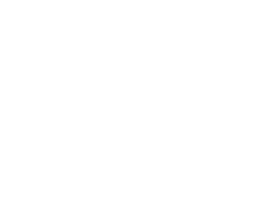 ICO white